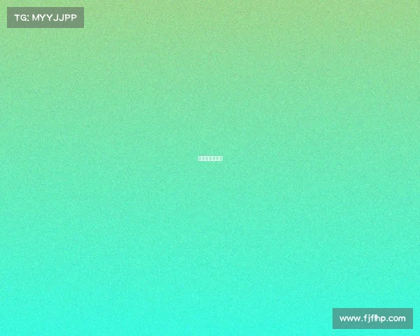 摩尔城总部在哪